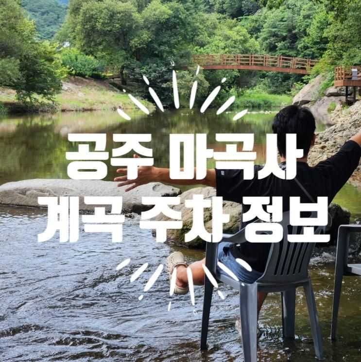 공주 마곡사 계곡 물놀이 포인트 무료주차장