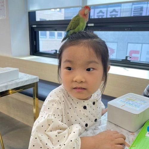 인천앵무새 카페 리프패럿 검단신도시점 아이와 함께 가볼만한곳