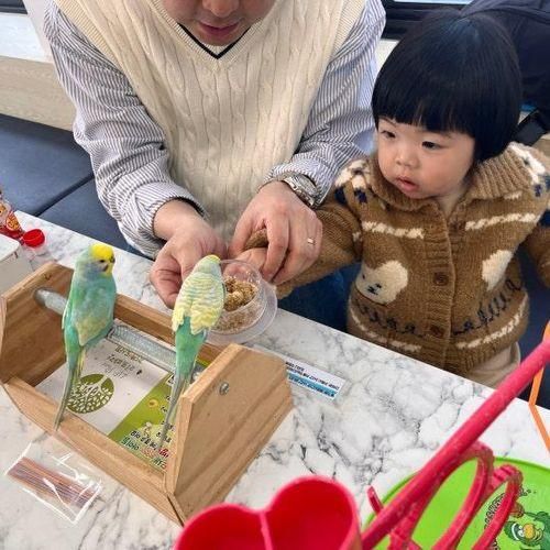 인천앵무새 카페 리프패럿 검단신도시점 두돌아기 방문기