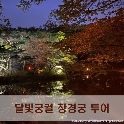 아이와 함께 창경궁투어 '마이리얼트립X동키X꿈꾸는해치', 여러 팁 포함