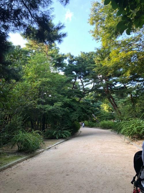 창경궁 부모님 아이와 함께 나들이 가기 좋은 곳, 주차정보