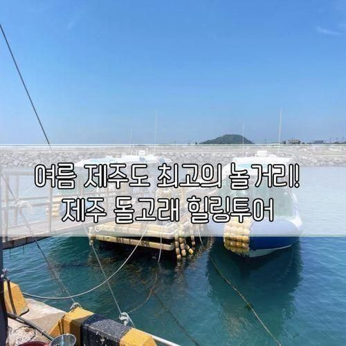 가족, 아이와 함께 하기 좋은 제주 놀거리 제주 돌고래 힐링투어!