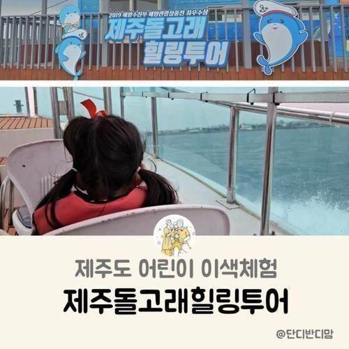 제주 어린이 이색체험 요트투어 제주돌고래힐링투어 스팟