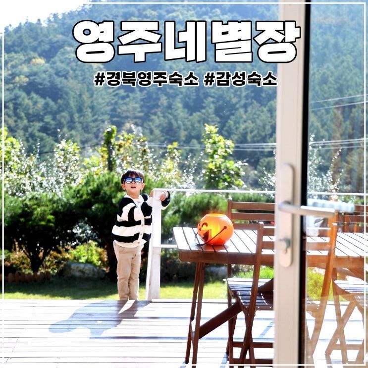 영주 감성숙소 사과밭을 품은 영주네 별장