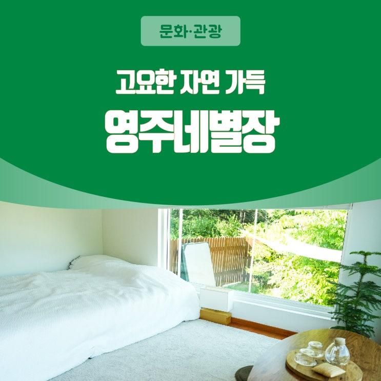 경북 영주 여행 - 영주네별장(숙박, 숙소)