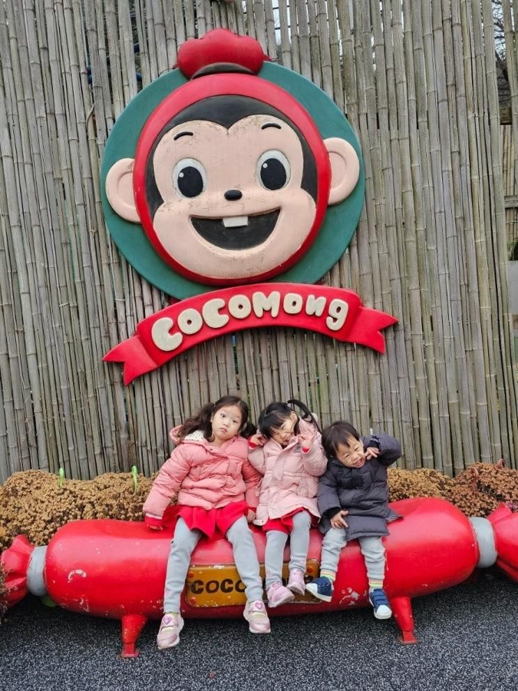 용인 아이와 실내·실외 가성비 키즈카페 코코몽에코파크 용인점