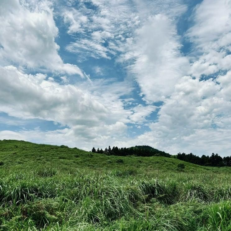 비가 와도 문제 없는 (제주 레일바이크)