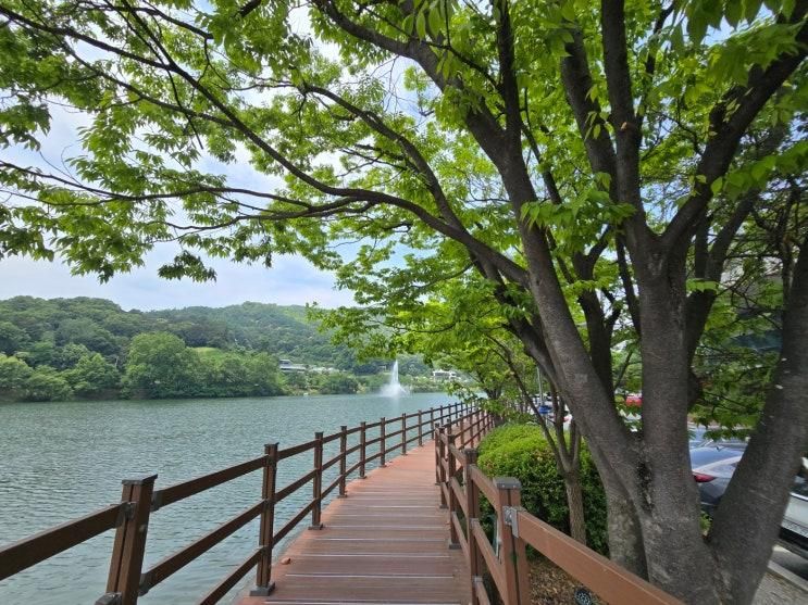 청주 명암저수지 주말 아이들과 가볼만한곳 청주 명암저수지 산책