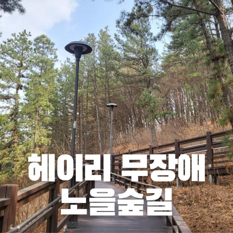 헤이리 아이와 무장애 노을 숲길 산책 어떠세요