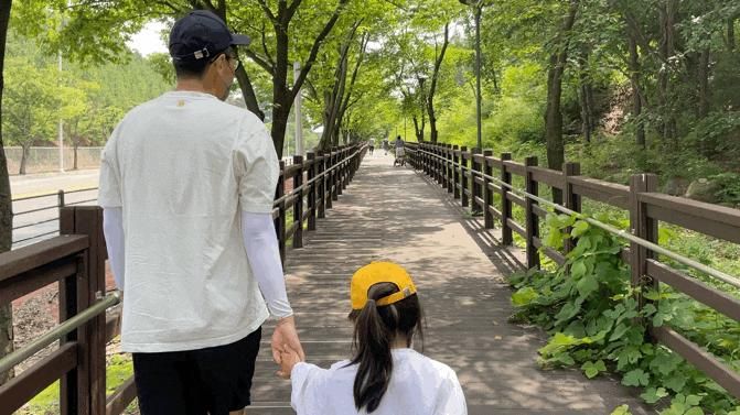 파주 산책 운동 아이와 걷기좋은길 : 헤이리 무장애 노을숲길