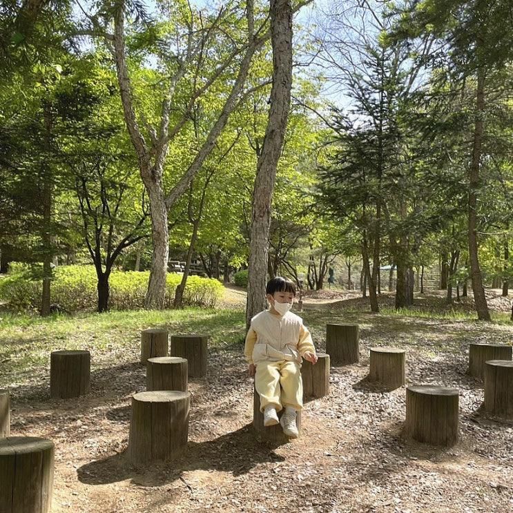 파주 탄현 유아숲체험원 숲놀이터