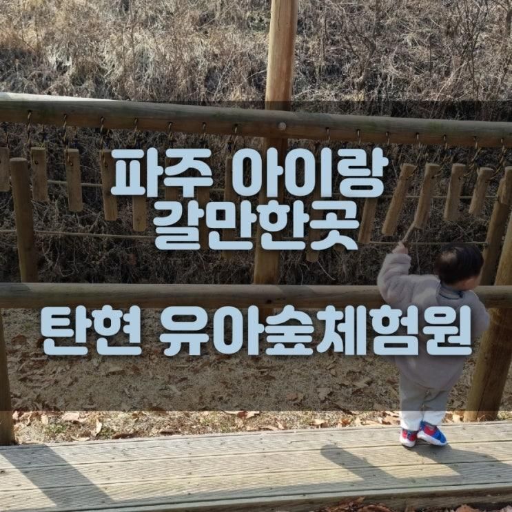 [파주 아이랑 갈만한곳/숲놀이터] 탄현 유아숲체험원