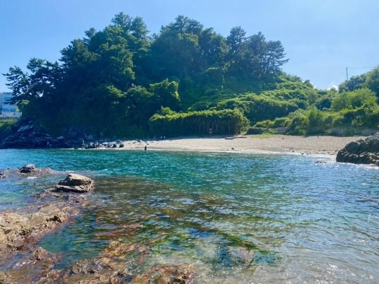 삼척 스노쿨링 숨은 명소 나만 알고 싶은 오분해변 옆 선창해변