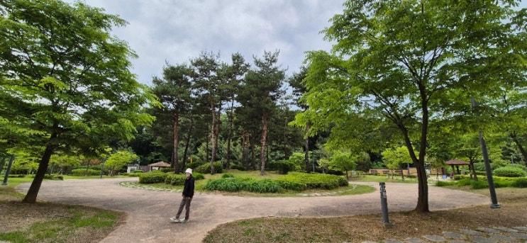 도래공원 산책