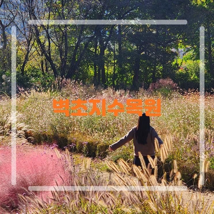 파주 벽초지수목원 가을꽃 국화축제 9월 가볼만한곳 기본정보...