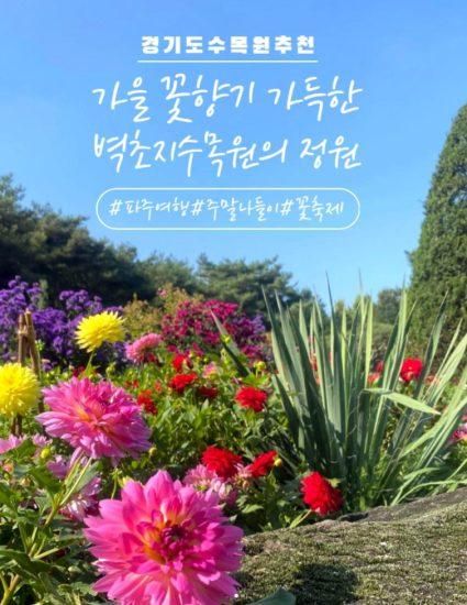 벽초지수목원 가을꽃 국화축제(2024.9.21~11.17)