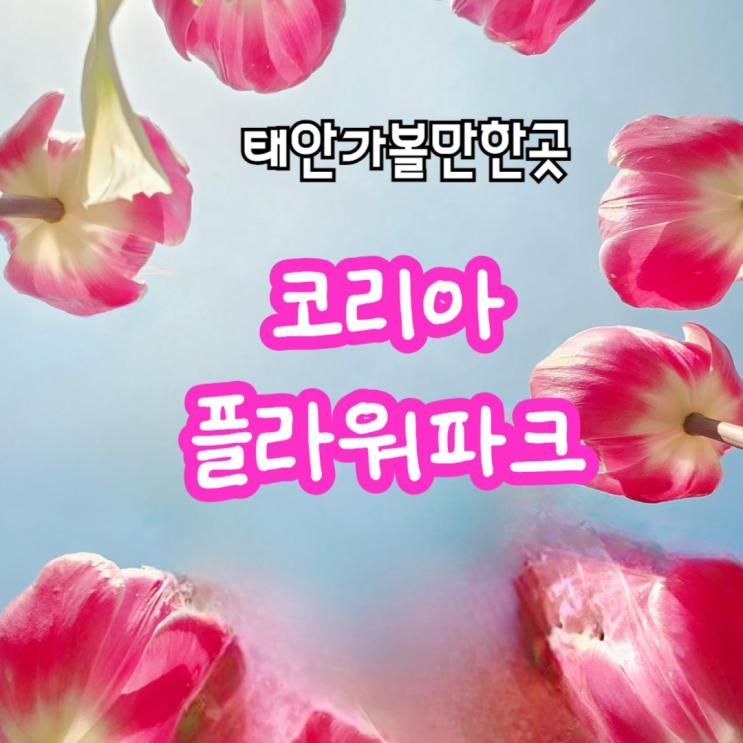 사계절 꽃을 볼 수 있는 태안 안면도 코리아플라워파크