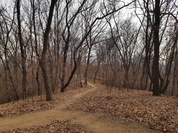 파주 가람마을 미리내공원 산책