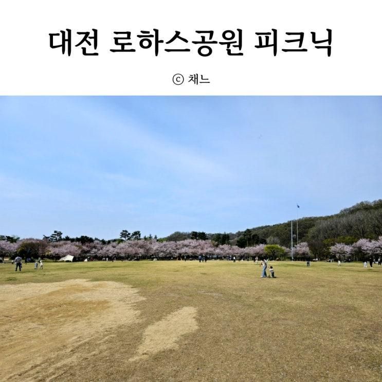 대전 아이와 가볼만한 곳 금강로하스대청공원 벚꽃피크닉