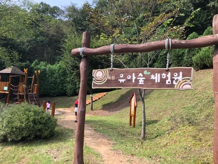 아기와 갈만한 곳 파주 율곡수목원 유아숲체험원