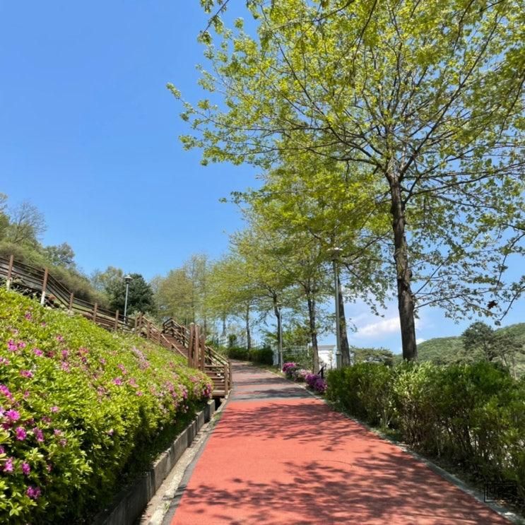 파주 공원 산책 - 아이들과... 산책하기 좋은, 법원근린공원
