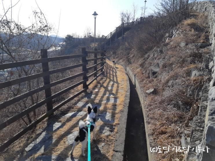 법원근린공원 - 파주 숨겨진 강아지 산책하기 좋은 곳