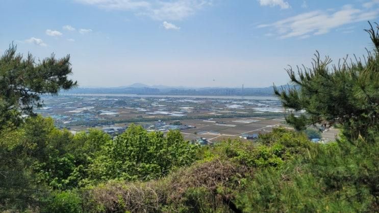 [파주등산]파주 심학산 산림공원 둘레길 등산 후기