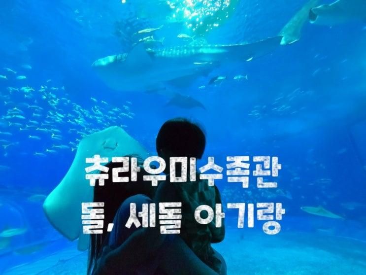 오키나와 #5. 세돌, 돌 아기와... 맛집 카이로 (feat....