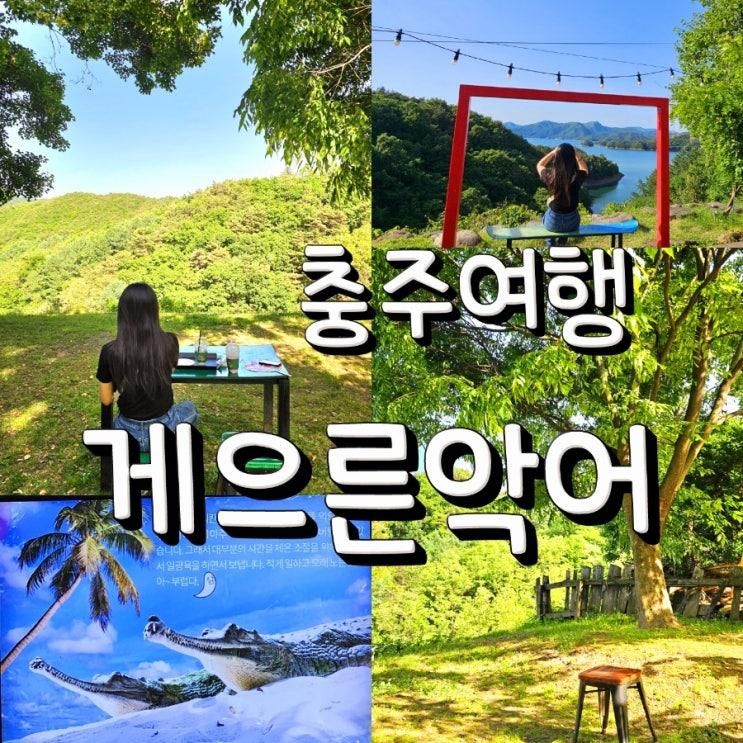 충주 악어봉 여행 필수 코스 게으른악어 카페