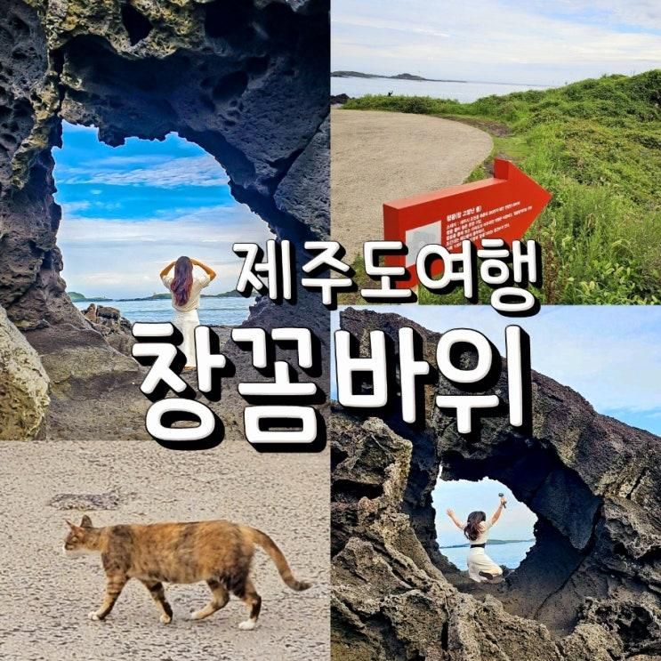 제주 동쪽 창꼼바위 포토존 우영우 촬영지