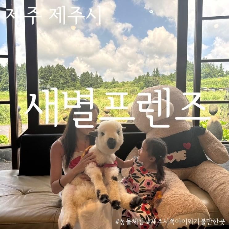 새별프렌즈 새별오름 앞 동물원 제주 서쪽 아이와 가볼만한 곳...