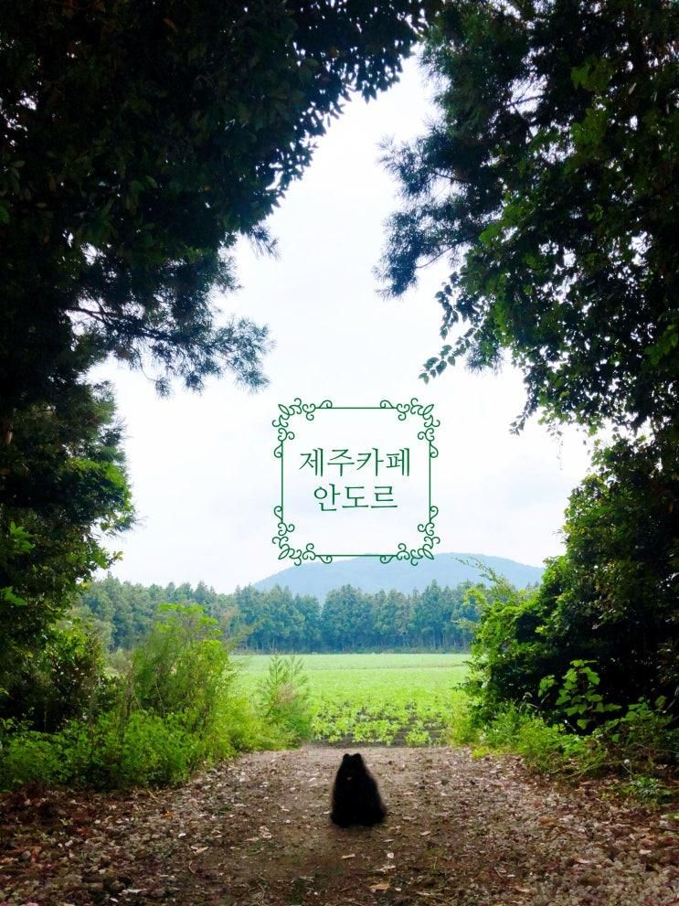송당무끈모루 포토존 가득 제주 카페 안도르