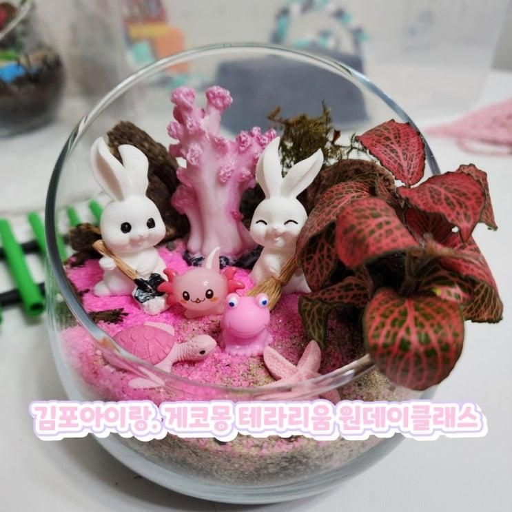 김포 구래동 아이랑 체험 파충류샵 게코몽 테라리움 원데이...
