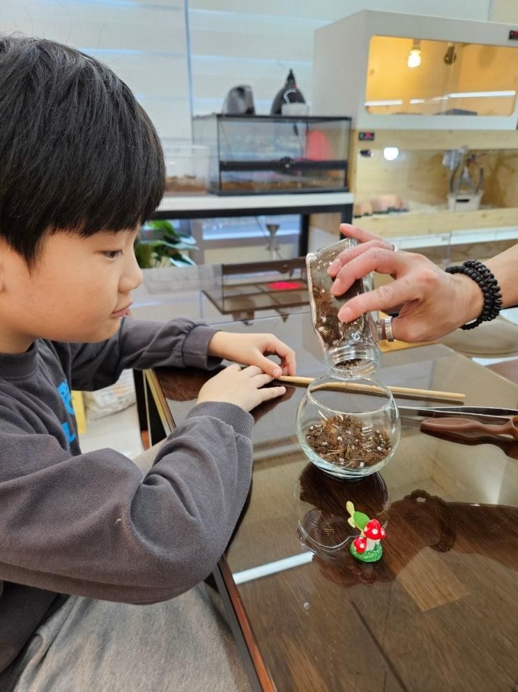 김포 아이랑 체험 [테라리움 파충류샵 게코몽]