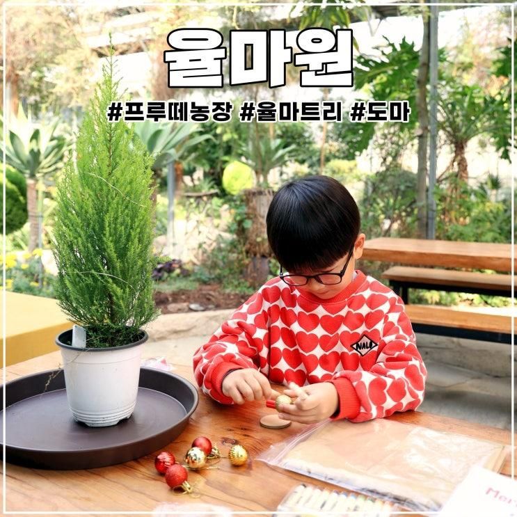 경기도 광주 아이랑 프루떼 광주율마원 365 율마트리 도마