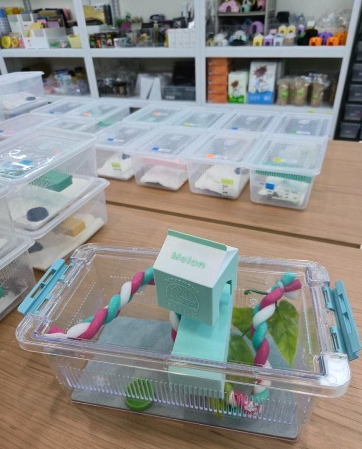[ 인천파충류샵 / 파충류샵 게코몽 검단신도시점 ] 아이...