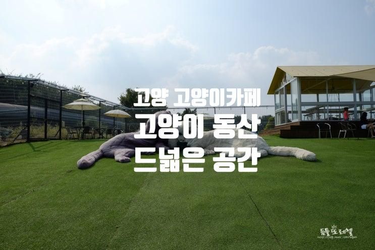 고양 고양이 동산 - 고양이 카페는 여기라고요 여기!