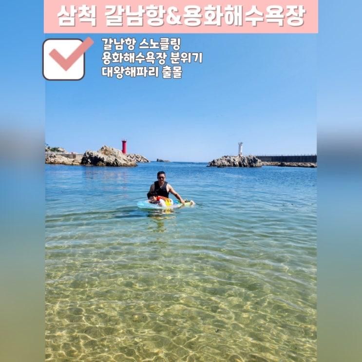 아이와 삼척 갈남항 스노클링 자리 꿀팁, 용화해수욕장 분위기...