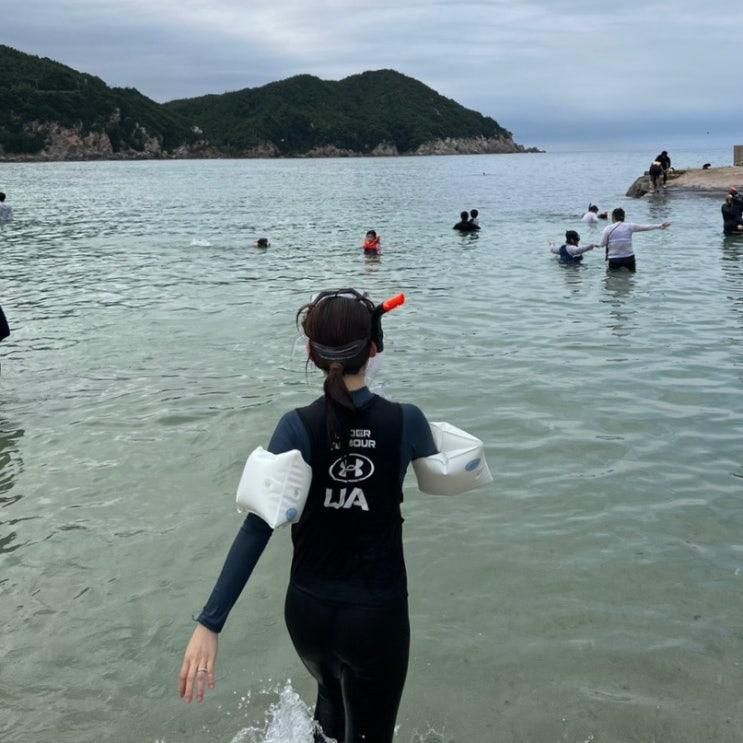 9월 삼척여행 문어가 잡히는 용화해수욕장 스노클링