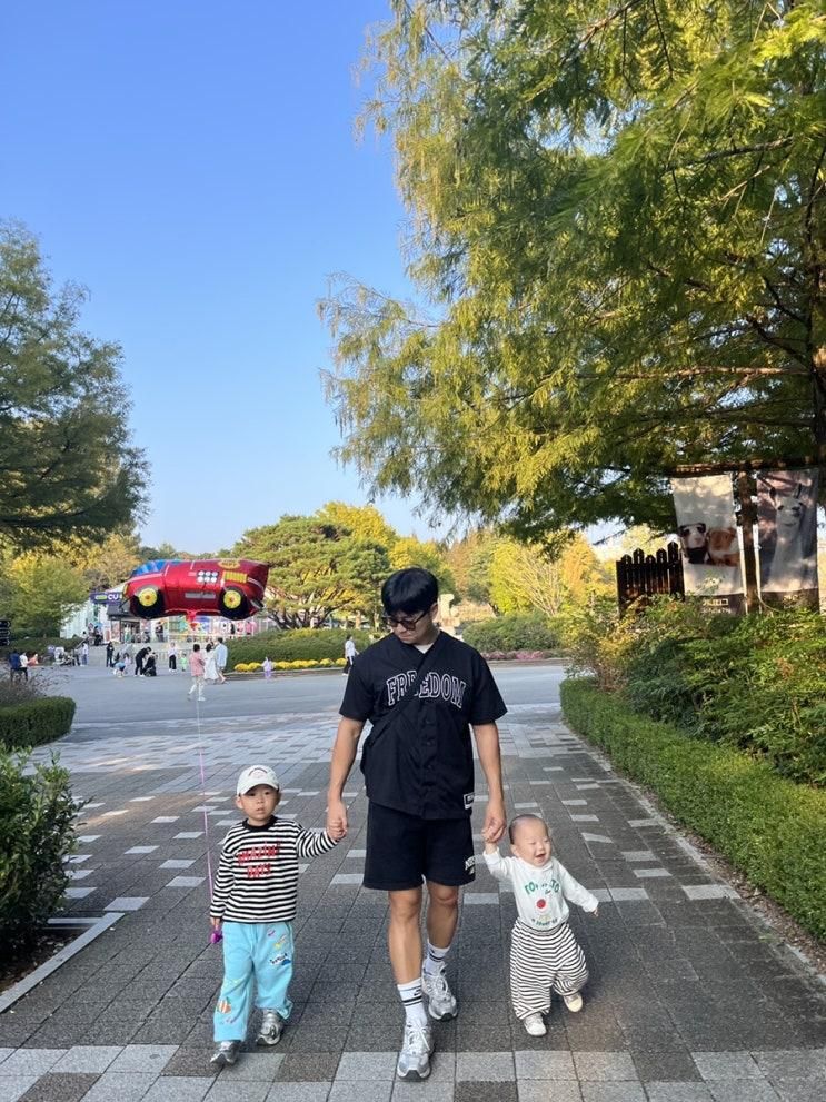 전주 아기랑 가볼 만한 곳 전주동물원 전주드림랜드
