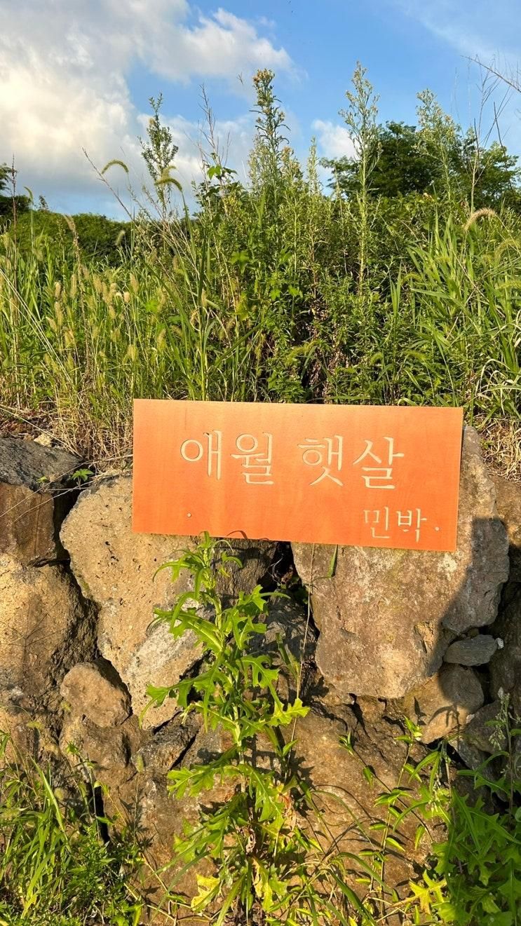 제주 애월 햇살 민박 숙박 후기쓰