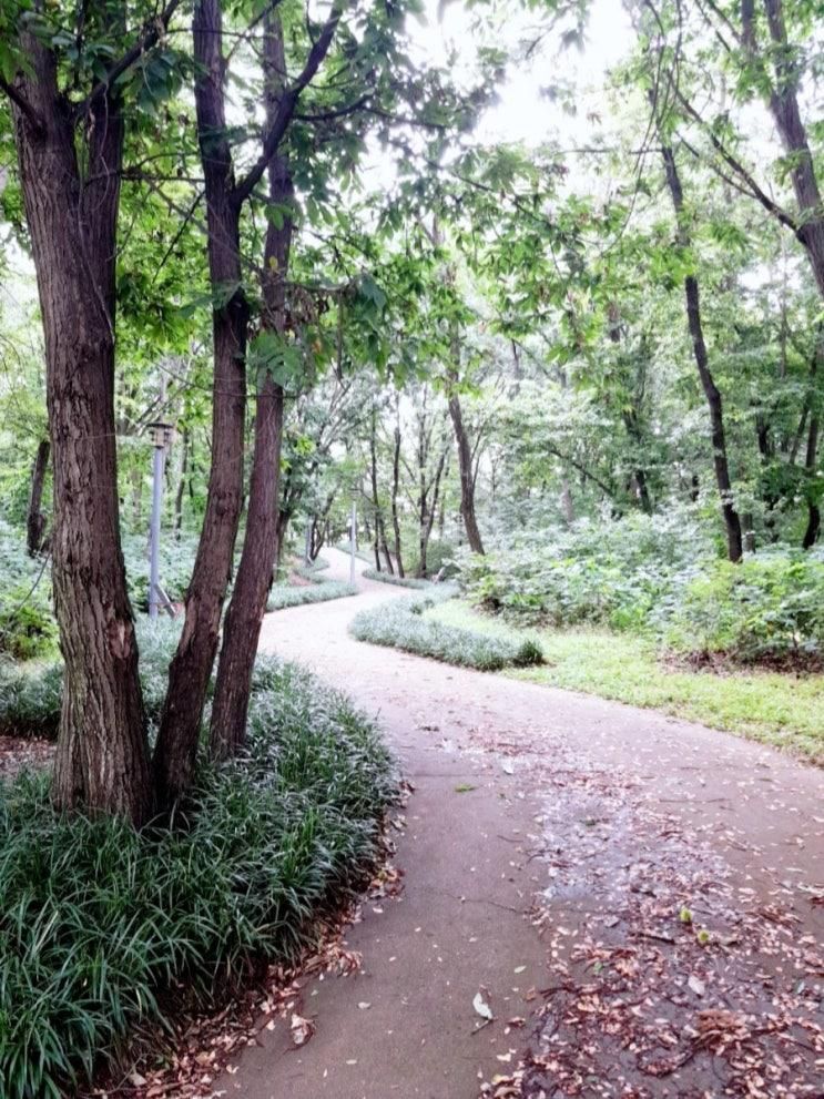 파주 운정 한빛공원 돌기 유산소 운동 물 많이 먹고 운동 하세요