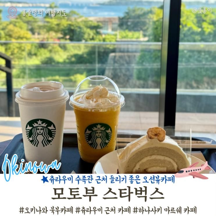 오키나와 북부카페 츄라우미... 좋은 뷰맛집 스타벅스 모토부지점