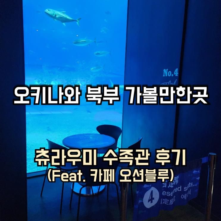 오키나와 여행 북부 투어 추천... 투어후기 카페 오션블루...