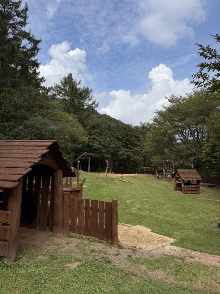 대전 장동산림욕장 황토 맨발걷기 유아숲체험원 아이랑 가기...
