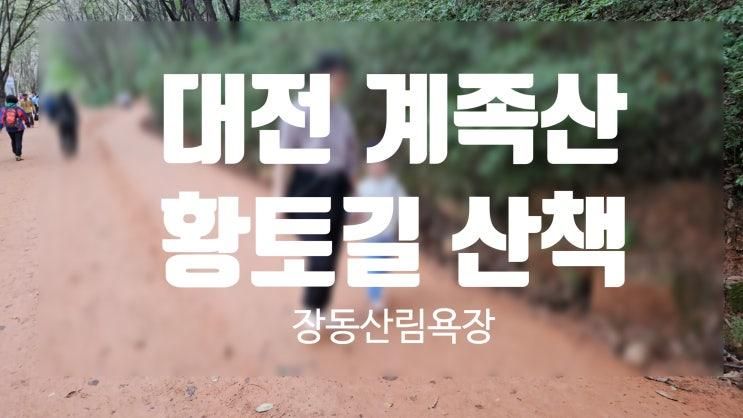 대전 계족산 황톳길 황토길 5살 아이와 함께 산책 장동산림욕장