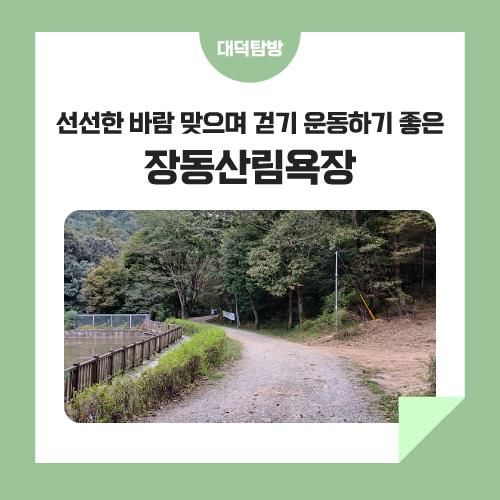 선선한 바람 맞으며 걷기 운동하기 좋은 '장동산림욕장'