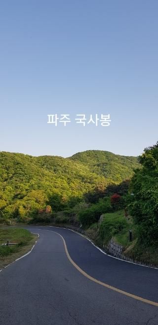 #고양파주1천산 #파주 #용미공원묘지 100구역 2024 5/2