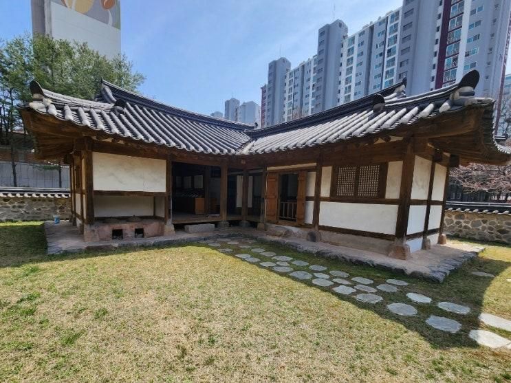 파주 후곡공원 진달래 목련 벚꽃 정태진기념관