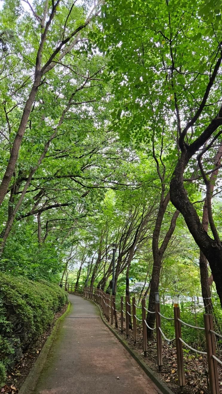 금촌 후곡공원